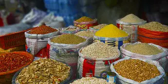 Soil degradation threatens 95% of world food supply