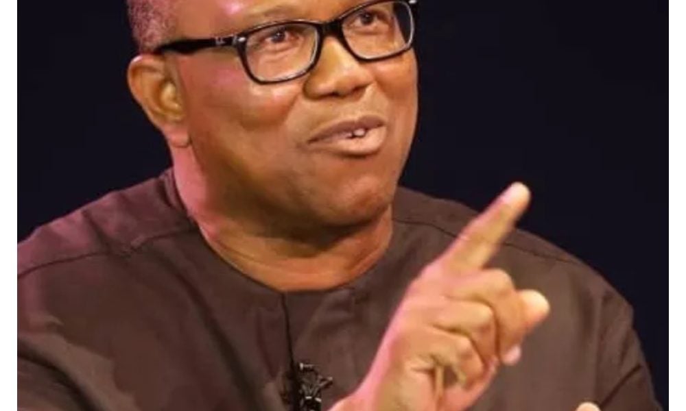 NDC: Support groups must get approval from me, Kwankwaso before anything – Peter Obi